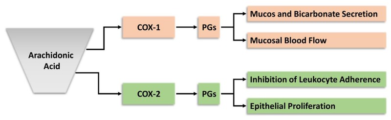 An external file that holds a picture, illustration, etc., usually as some form of binary object. The name of referred object is rmmj-12-1-e0003-g003.gif